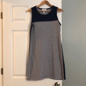 Blue and white striped dress